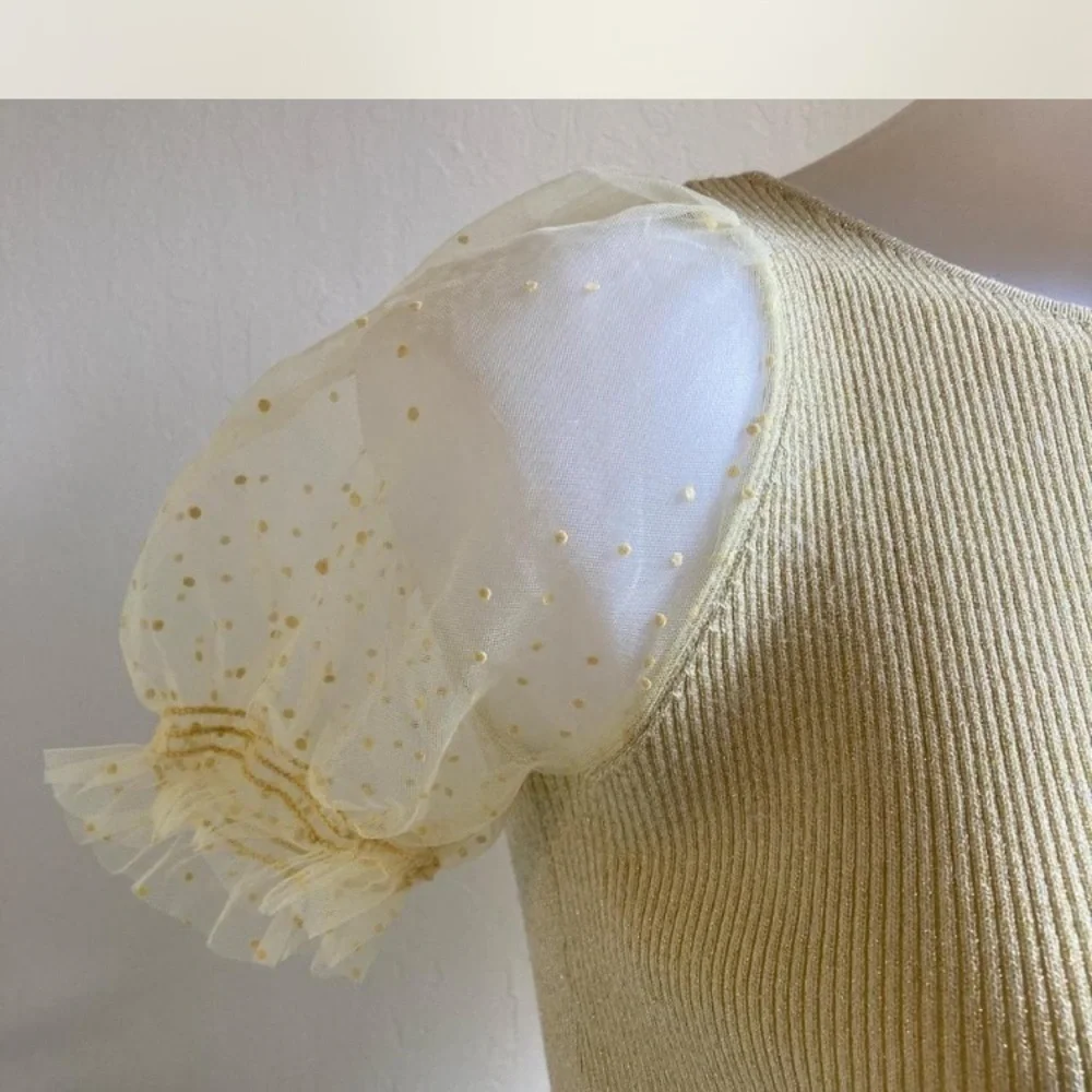 Zara shimmer top with sheer polka dot puffy sleeves size 8